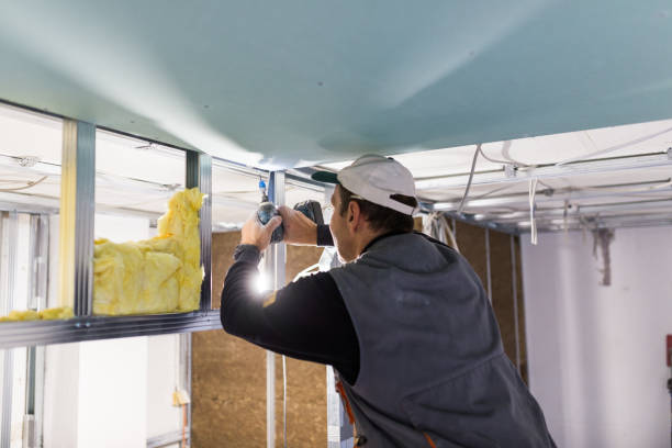 Best Geographic-Specific Insulation Services in Dansville, NY