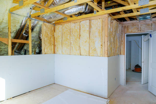 Best Eco-Friendly Insulation in Dansville, NY