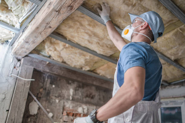 Best Insulation Maintenance and Repair in Dansville, NY