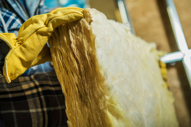 Best Commercial Insulation in Dansville, NY