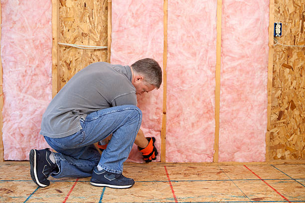 Best Specialized Insulation Services in Dansville, NY