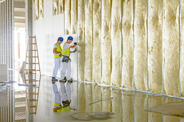 Best Cellulose Insulation in Dansville, NY